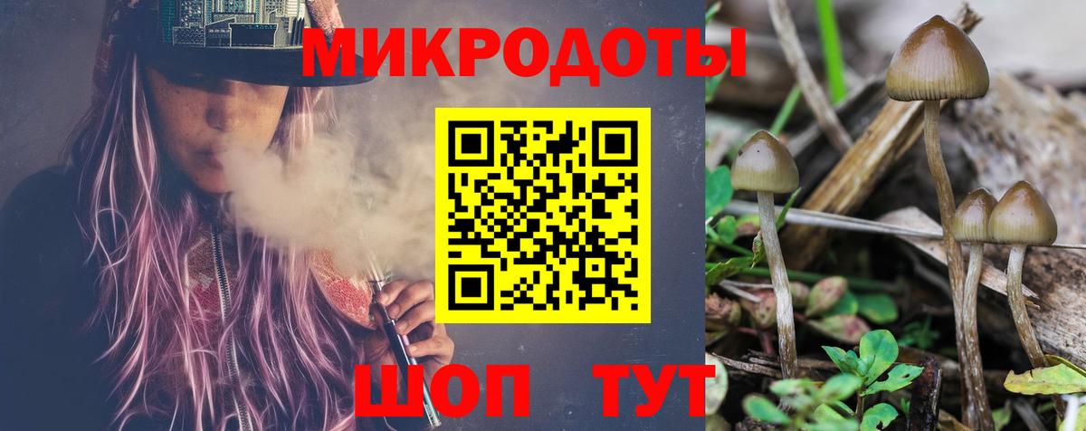 Богородицк  Галлюциногенные грибы Psilocybe  Псилоцибиновые грибы Psilocybe  где купить наркоту  Вход с VPN 